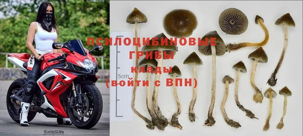 хмурый Армянск