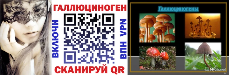 закладка  Белинский  Галлюциногенные грибы Psilocybe 
